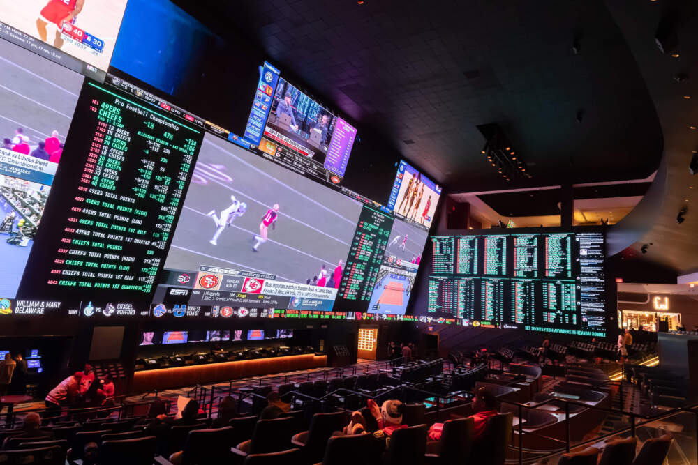 Exploring Ardi Bet Your Ultimate Betting Experience